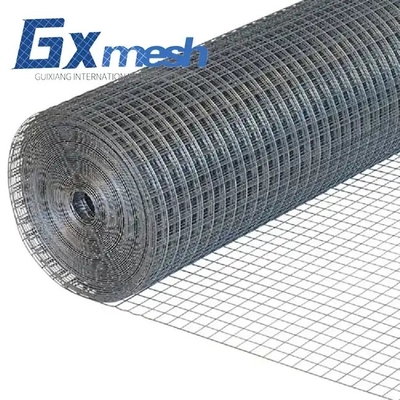 quality Galvanized Welded Wire Mesh factory