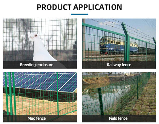 Electro Galvanized Welded Wire Mesh For Bird Rabbit Cages And Fence ...